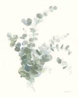 Scented Sprig II Cool Framed Print