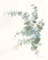 Scented Sprig III Cool Framed Print