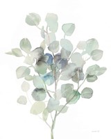 Eucalyptus III Cool Fine Art Print