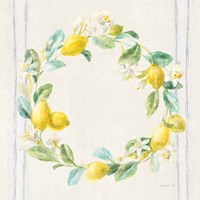 Floursack Lemons V Navy Fine Art Print