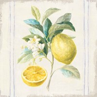 Floursack Lemons IV Sq Navy Fine Art Print