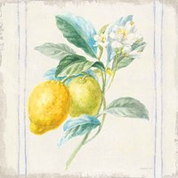 Floursack Lemons II Sq Navy Framed Print