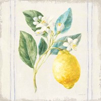 Floursack Lemons I Sq Navy Fine Art Print