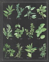 Herb Chart on Black White Border Fine Art Print