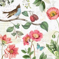 Studio Botanicals II Fine Art Print