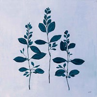 Botanical Study IV Blue Fine Art Print