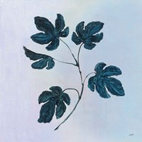 Botanical Study III Blue Fine Art Print