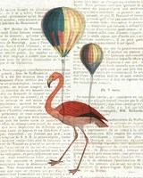 Flying Flamingo Fine Art Print