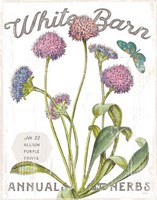 White Barn Flowers VI Framed Print