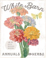 White Barn Flowers V Framed Print