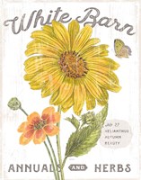 White Barn Flowers I Fine Art Print