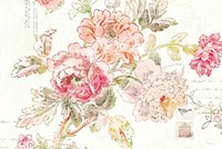 Cottage Roses I Fine Art Print