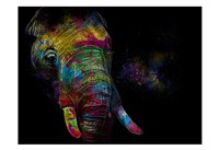 Kaleidoscope Elephant Fine Art Print