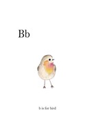 Bb Is For Bird Fine Art Print