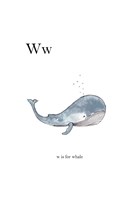 Ww Is For Whale Fine Art Print