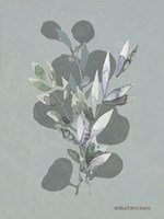 Watercolor Greenery Series Medium Teal I Fine Art Print