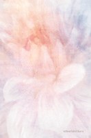Soft Dahlia Pastel Peach Lilac Fine Art Print