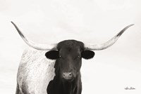 Get to the Point Fine Art Print