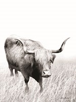 Kiss My Hairy Face Fine Art Print