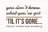 Toilet Paper Fine Art Print