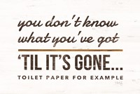 Toilet Paper Fine Art Print