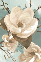 Magnolia II Fine Art Print