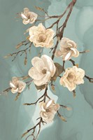 Magnolia III Fine Art Print