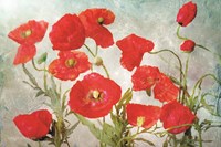 Poppies Fine Art Print