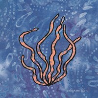 Whimsy Coastal Conch Seaweed Fine Art Print