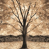 Gold Canopy Tree Fine Art Print