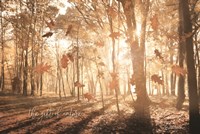 The Gift of Nature Fine Art Print