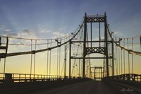 Farewell Fine Art Print