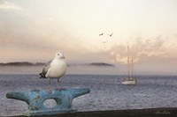 Eastport Dockmaster Fine Art Print