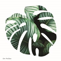 Leaves Leaf Fine Art Print