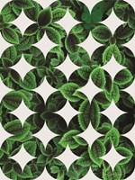 Leaves Pattern Fine Art Print