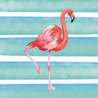 The Tropical Life XII Framed Print