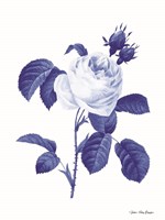 Blue Botanical I Fine Art Print
