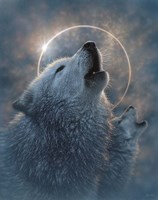 Wolf Eclipse Fine Art Print