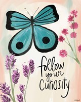Follow Your Curiosity Fine Art Print
