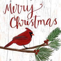 Christmas Cardinal Fine Art Print