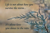 Dance in the Rain Fine Art Print