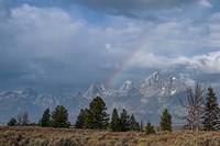 Teton Rainbow Fine Art Print