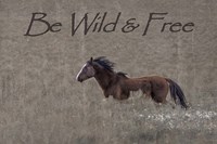 Be Wild & Free Fine Art Print