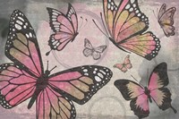 Butterflies I Fine Art Print