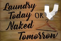 Laundry Today or Naked Tomorrow Fine Art Print