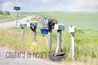 Country at Heart Fine Art Print