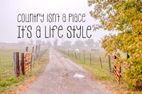 Country Style Fine Art Print