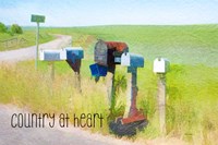 Country at Heart Fine Art Print