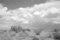 Far Fetched Fine Art Print