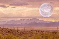 Another Place, Another Time Fine Art Print